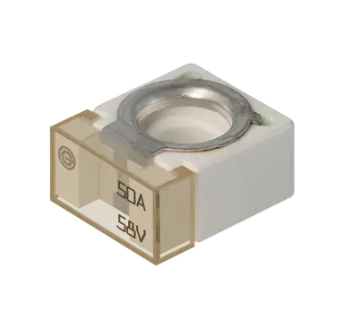 FUSIBLE BORNE 50 A