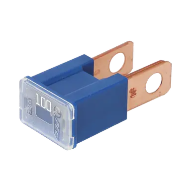 FUSIBLE PAL. 100A
