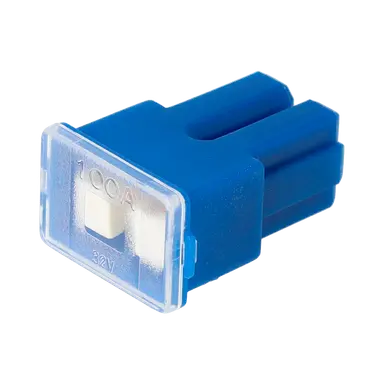 FUSIBLE PAL 100 AMP