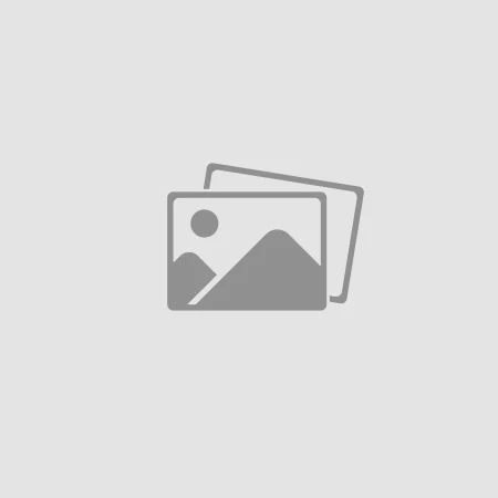 BOBINA VW GOF V 03-08 1.4 16V