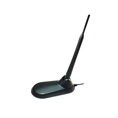 NEW VIRGINIA  ( MAGNETICA )