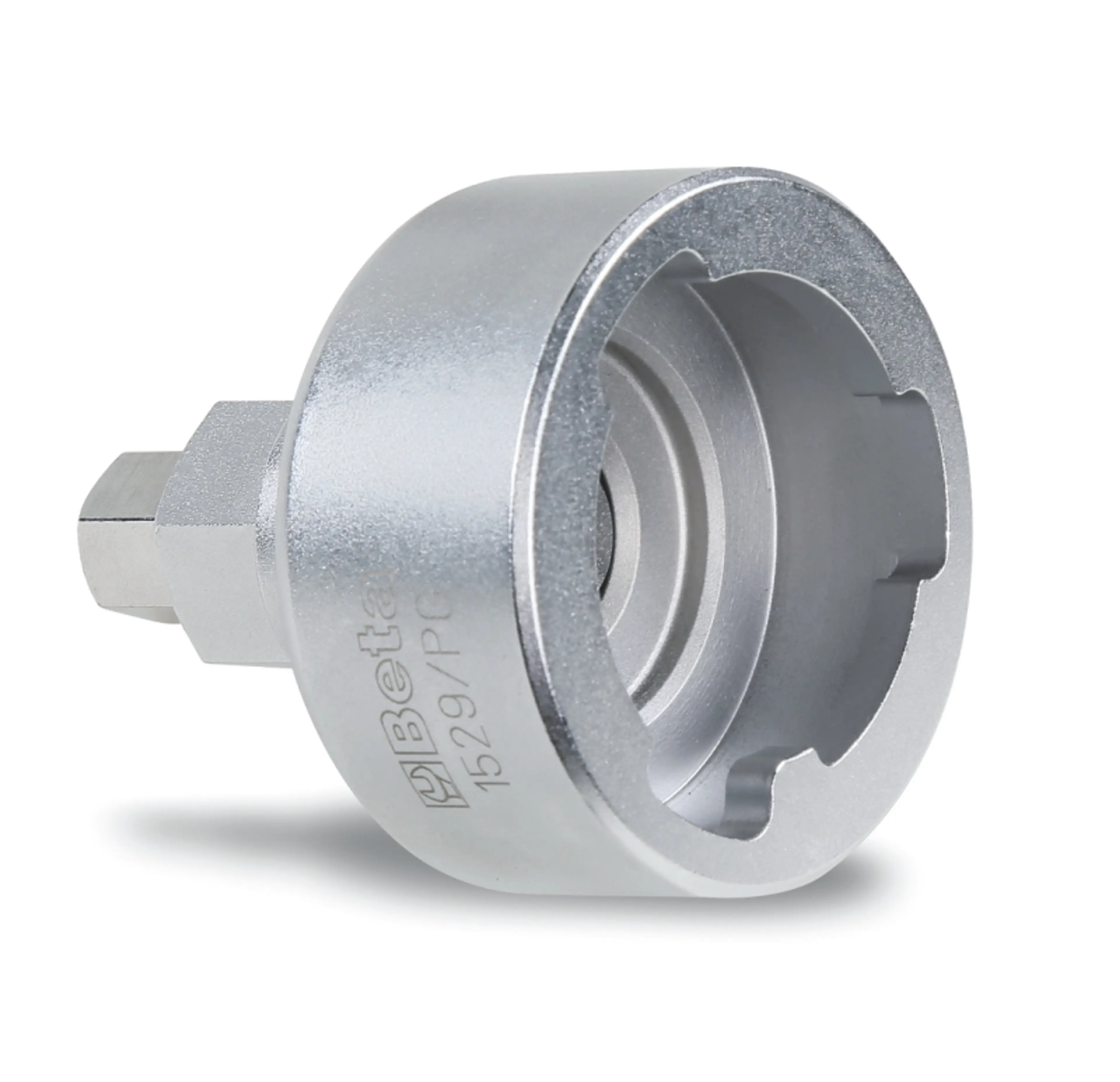 1529/PG-EXTRACTORES DE PIÑONES