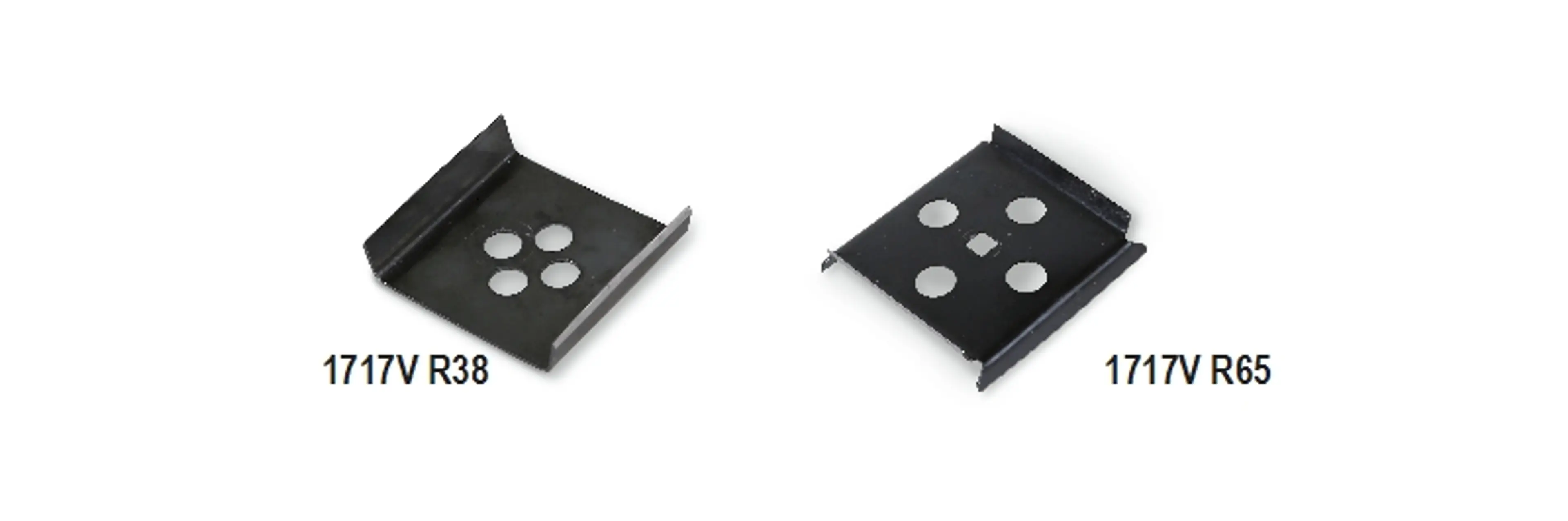 1717V R65-HOJAS PARA 1717V