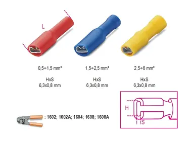 BM00191-TERMIN. RÁPIDOS HEMBRA AISL