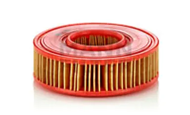 * FILTRO AIRE CARS + TRANSPORTERS