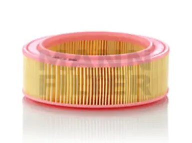 * FILTRO AIRE CARS + TRANSPORTERS