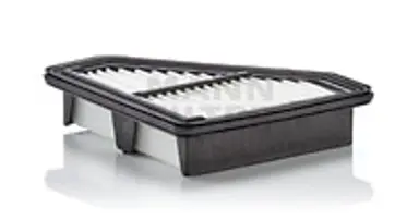 * FILTRO AIRE CARS + TRANSPORTERS