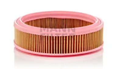 * FILTRO AIRE CARS + TRANSPORTERS