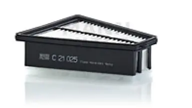 * FILTRO AIRE CARS + TRANSPORTERS