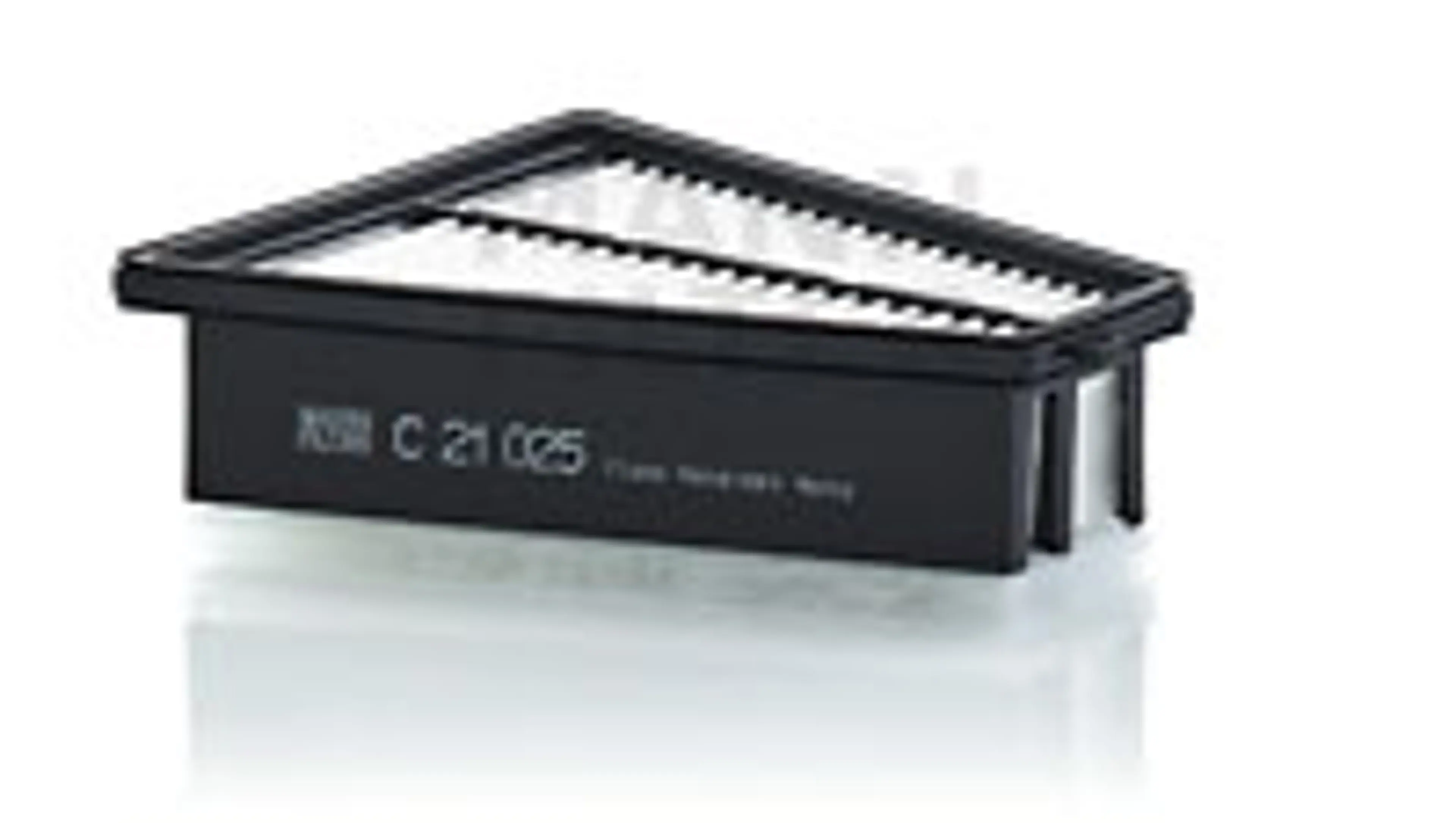 * FILTRO AIRE CARS + TRANSPORTERS