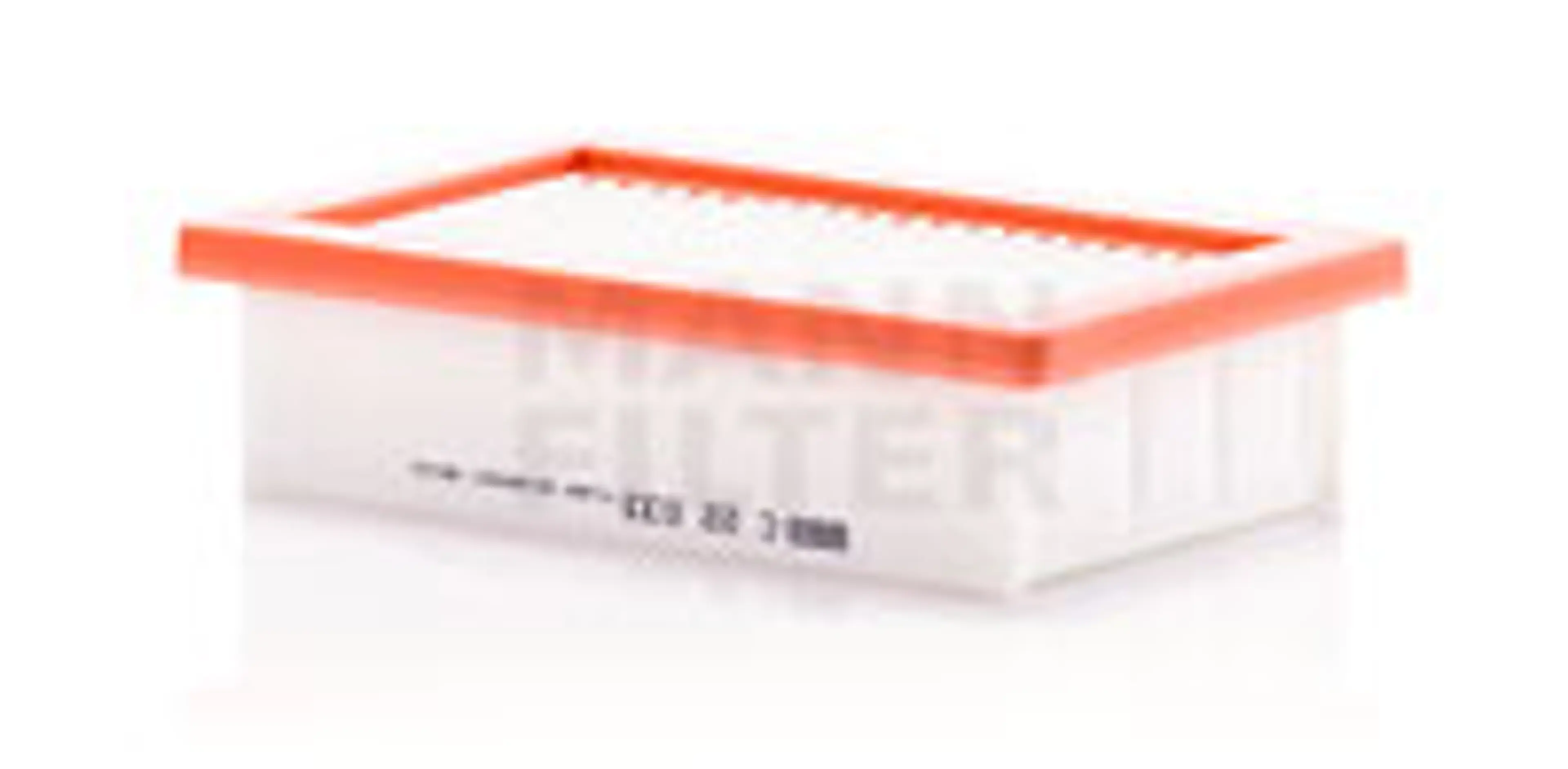 * FILTRO AIRE CARS + TRANSPORTERS