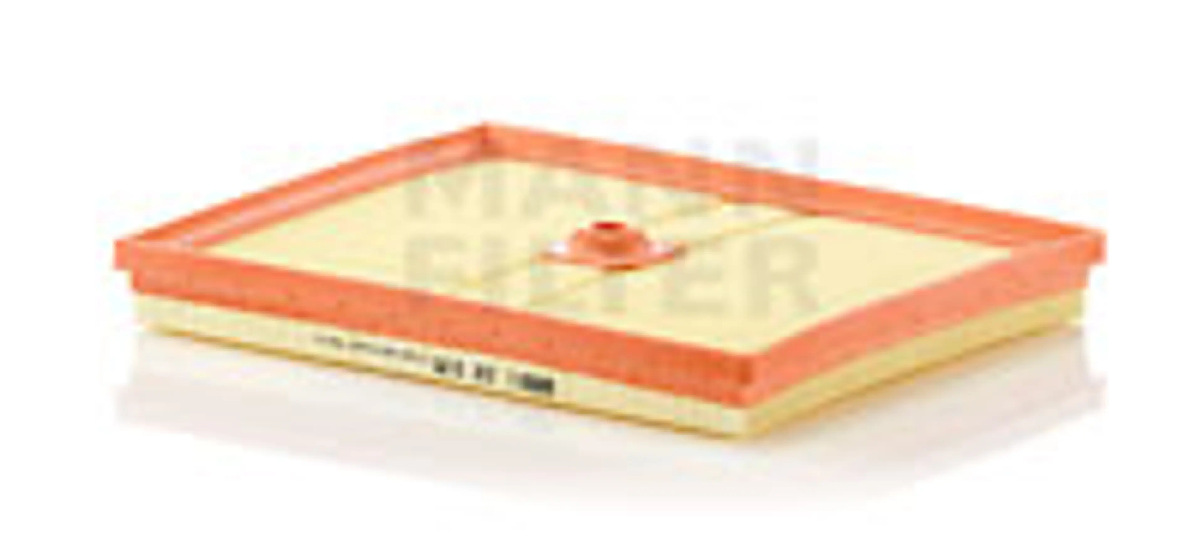 * FILTRO AIRE CARS + TRANSPORTERS