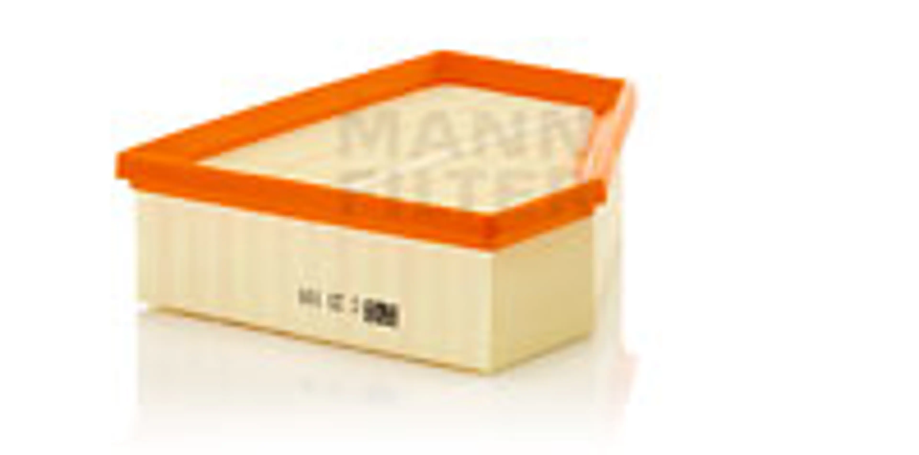 * FILTRO AIRE CARS + TRANSPORTERS