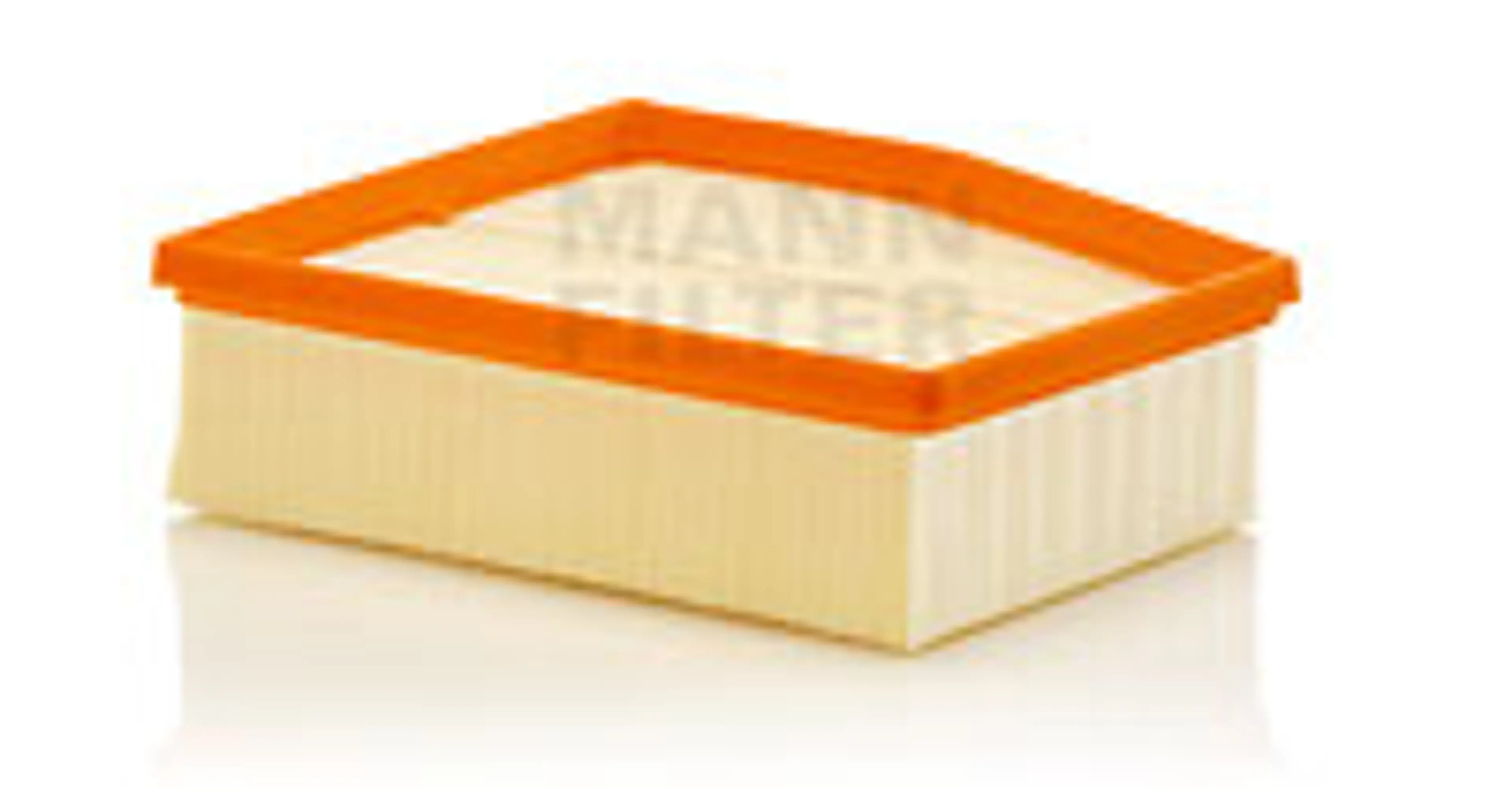 * FILTRO AIRE CARS + TRANSPORTERS