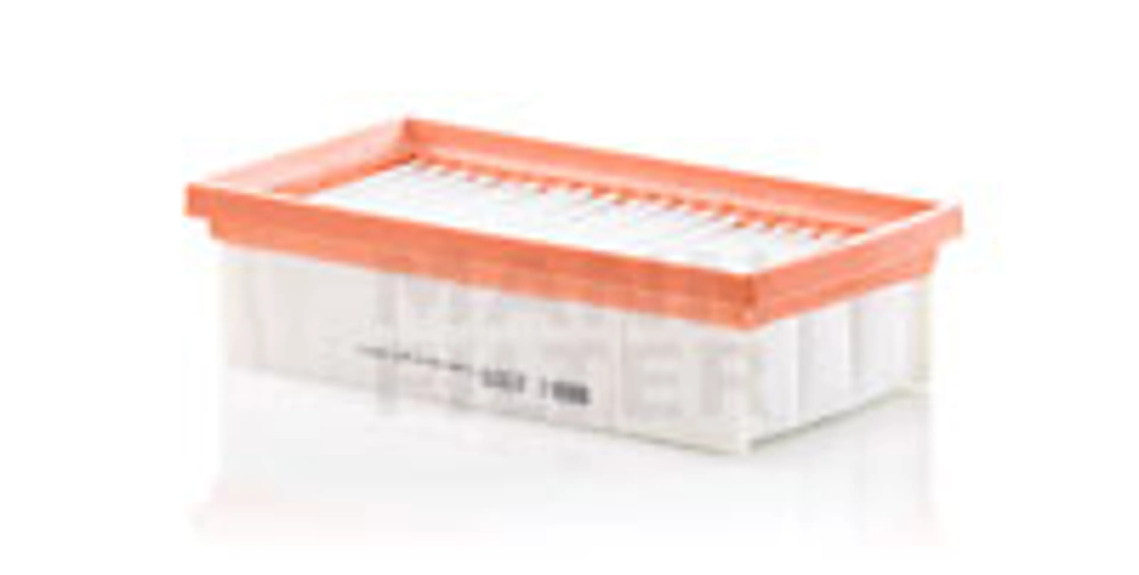 * FILTRO AIRE CARS + TRANSPORTERS