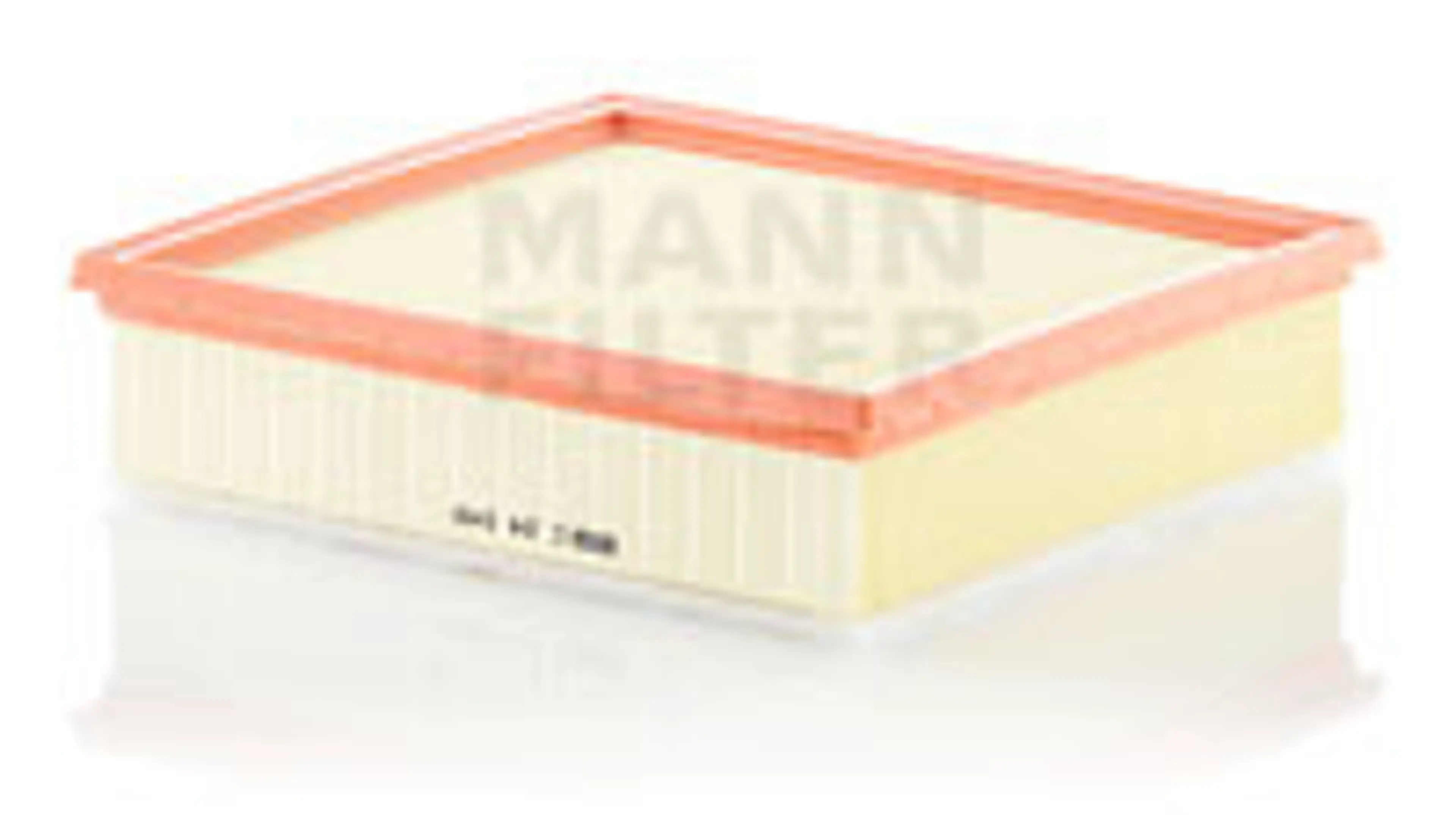 * FILTRO AIRE CARS + TRANSPORTERS