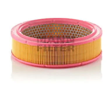 FILTRO AIRE CARS + TRANSPORTERS