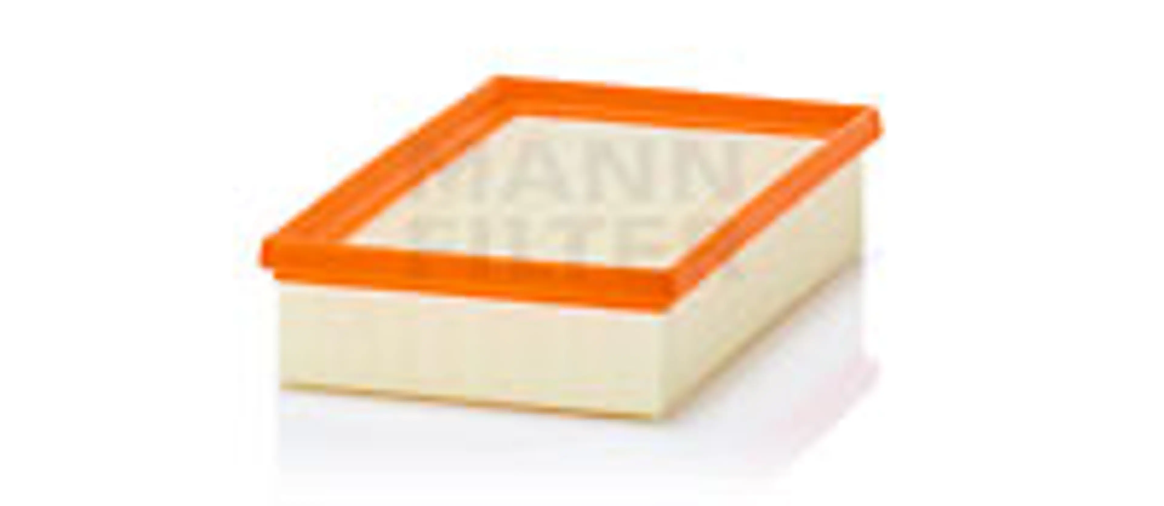 * FILTRO AIRE CARS + TRANSPORTERS