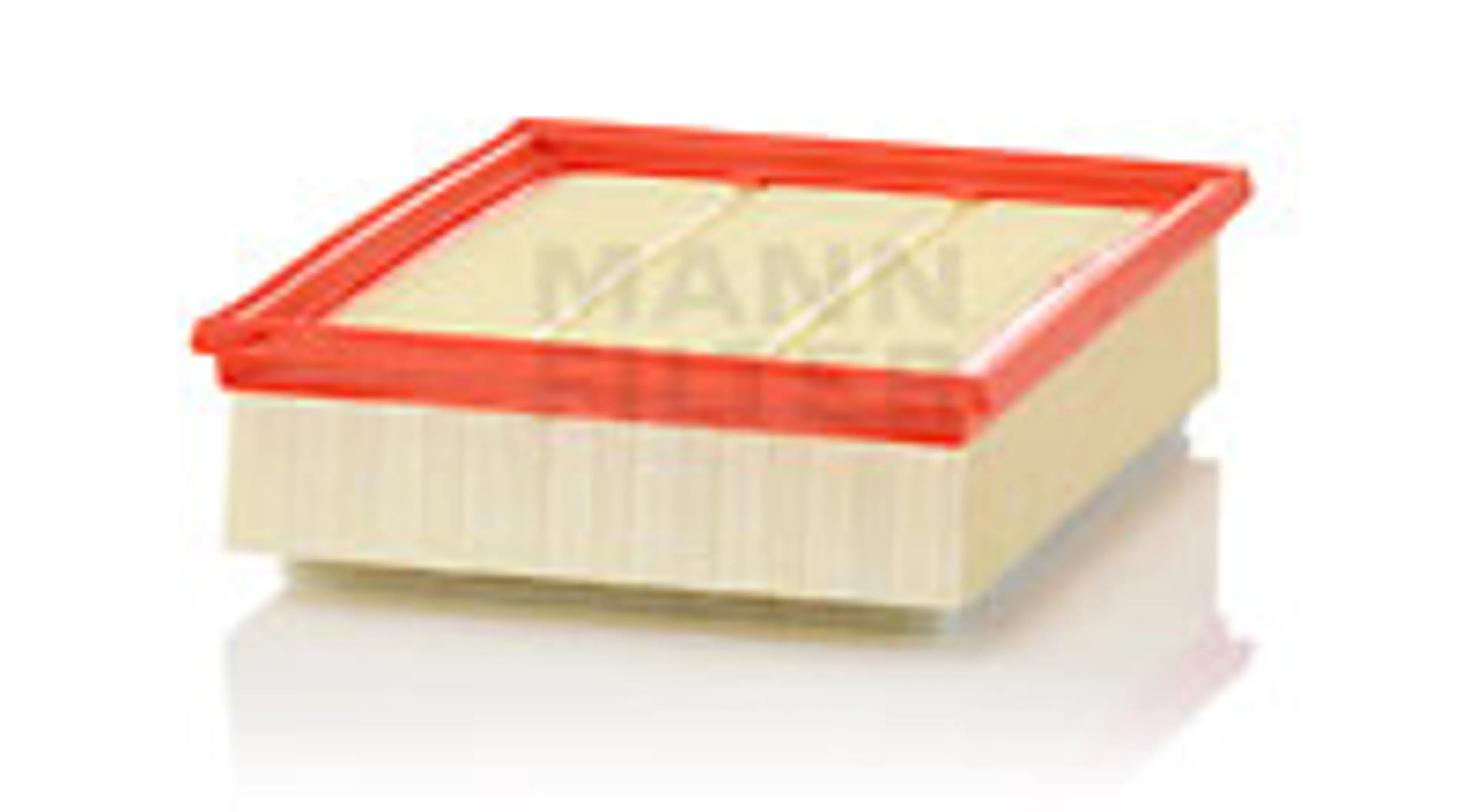 * FILTRO AIRE CARS + TRANSPORTERS