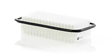 * FILTRO AIRE CARS + TRANSPORTERS