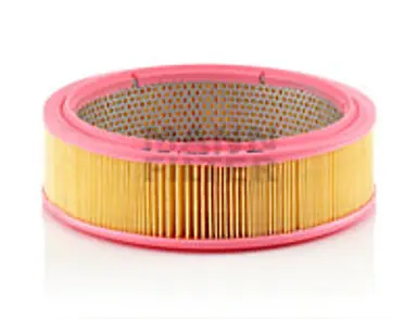 * FILTRO AIRE CARS + TRANSPORTERS