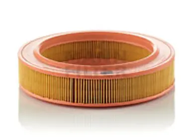 * FILTRO AIRE CARS + TRANSPORTERS