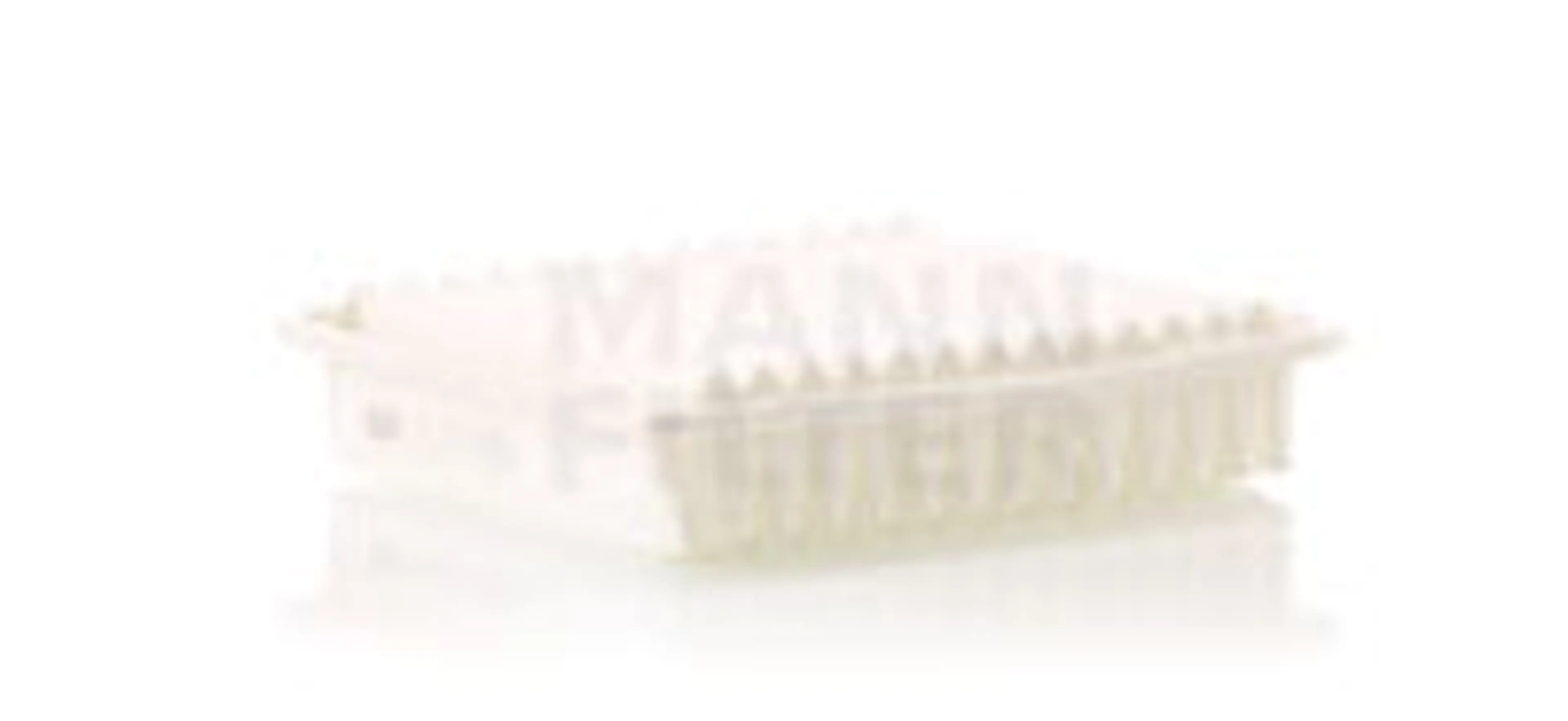 * FILTRO AIRE CARS + TRANSPORTERS