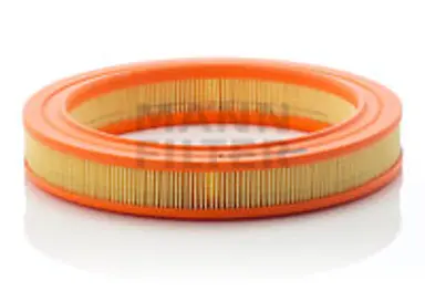 * FILTRO AIRE CARS + TRANSPORTERS