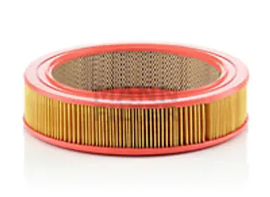 * FILTRO AIRE CARS + TRANSPORTERS