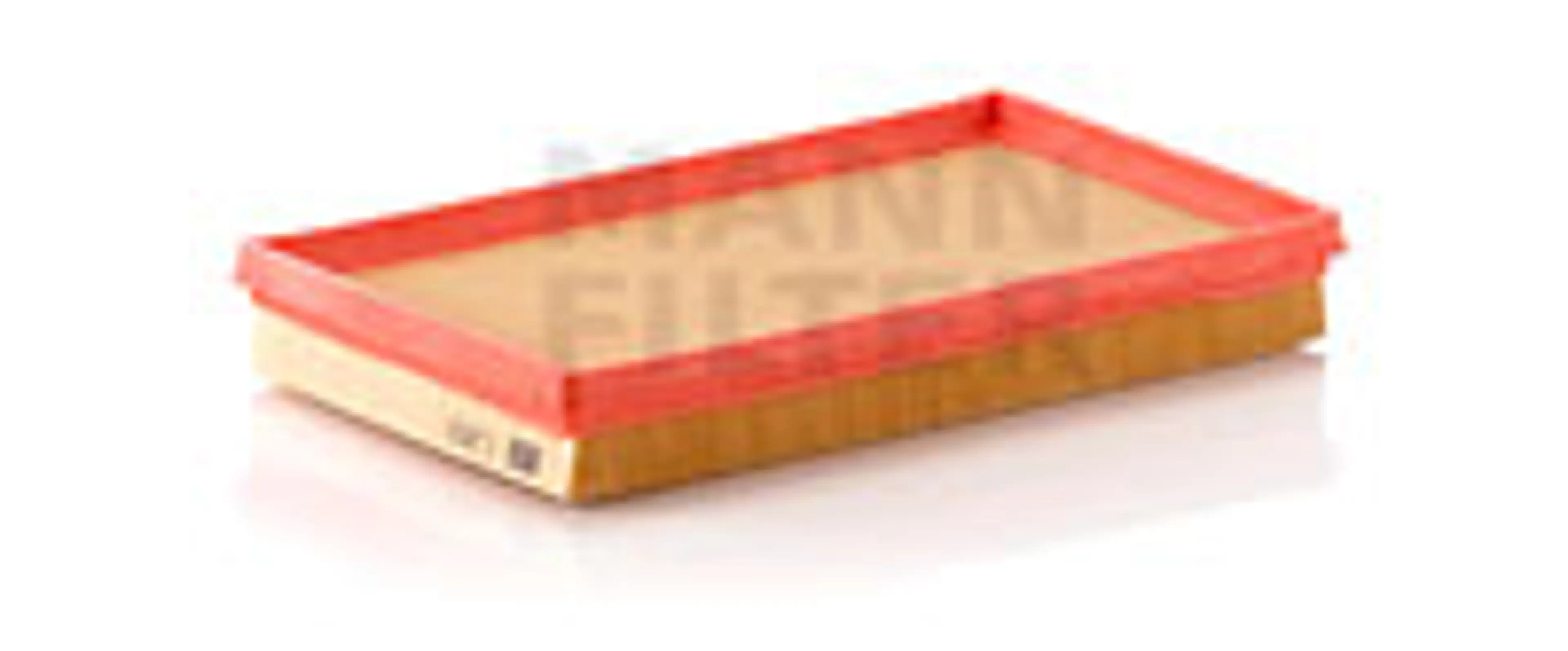 * FILTRO AIRE CARS + TRANSPORTERS