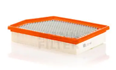 * FILTRO AIRE CARS + TRANSPORTERS