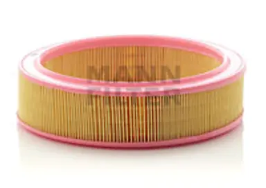 * FILTRO AIRE CARS + TRANSPORTERS