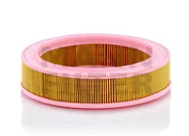 SIN * TURISMO AIRE PSA