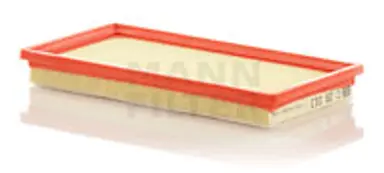 * FILTRO AIRE CARS + TRANSPORTERS