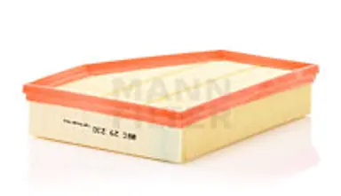 * FILTRO AIRE CARS + TRANSPORTERS