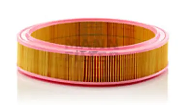 * FILTRO AIRE CARS + TRANSPORTERS