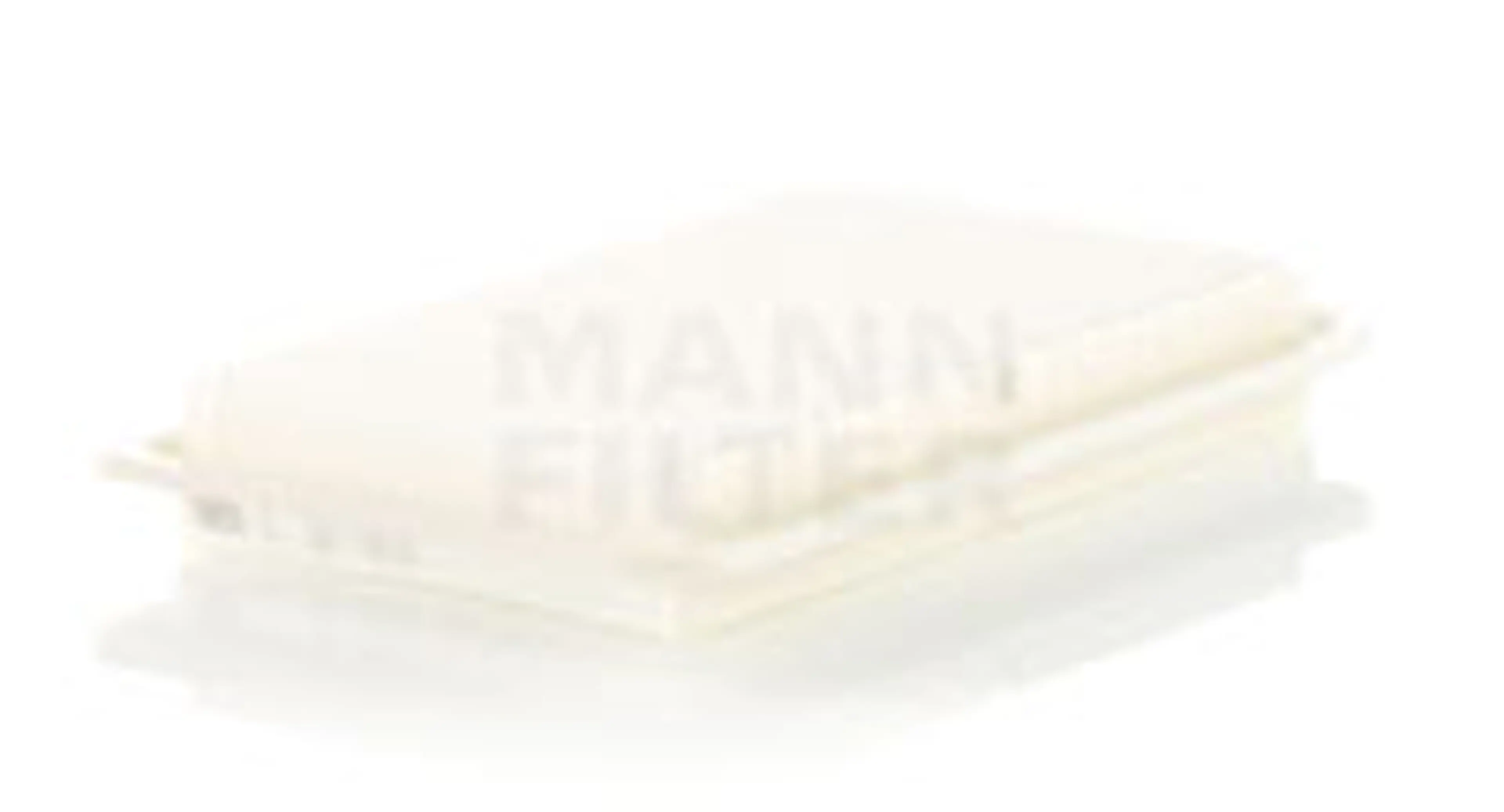 * FILTRO AIRE CARS + TRANSPORTERS