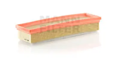 * FILTRO AIRE CARS + TRANSPORTERS