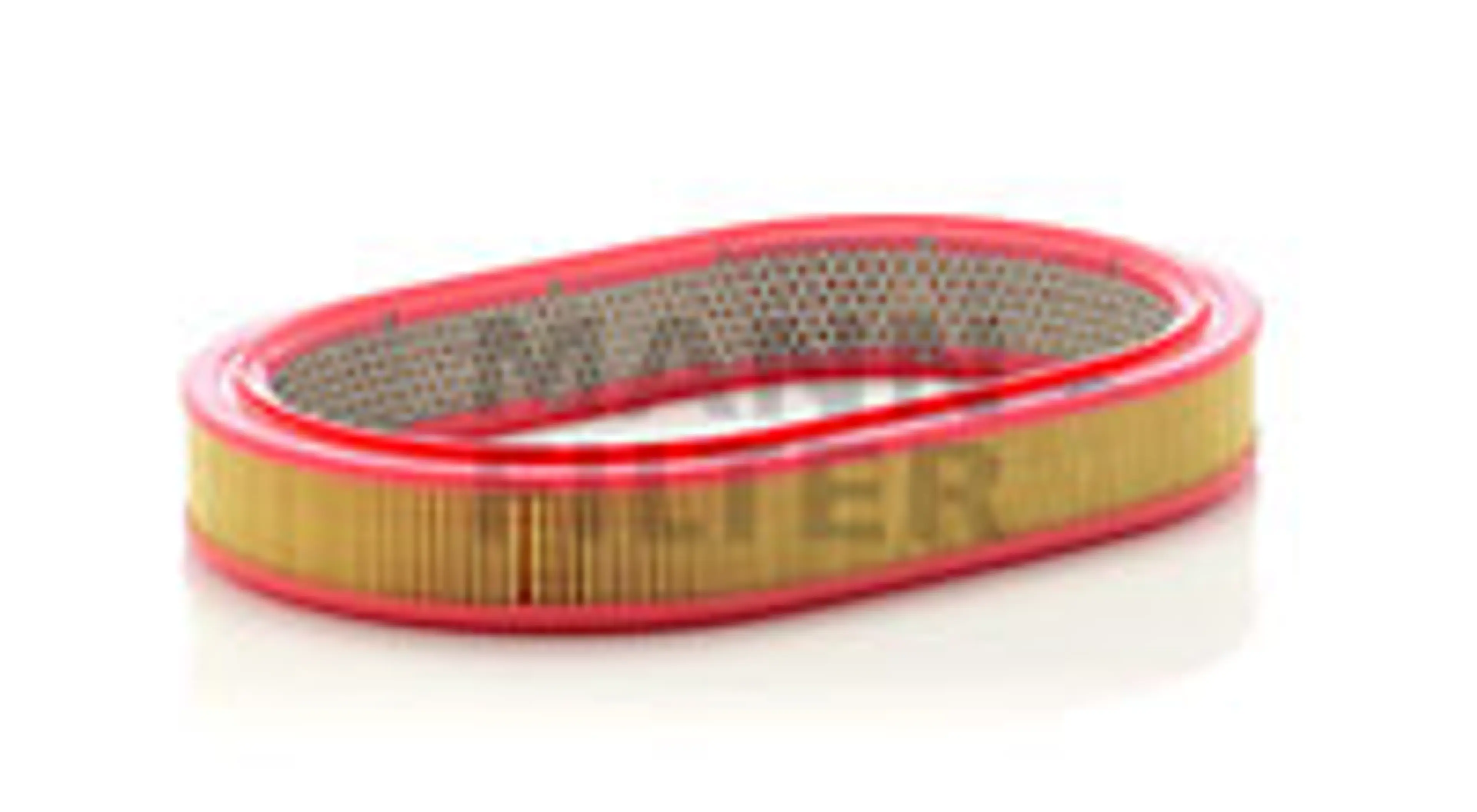 * FILTRO AIRE CARS + TRANSPORTERS