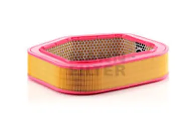 * FILTRO AIRE CARS + TRANSPORTERS