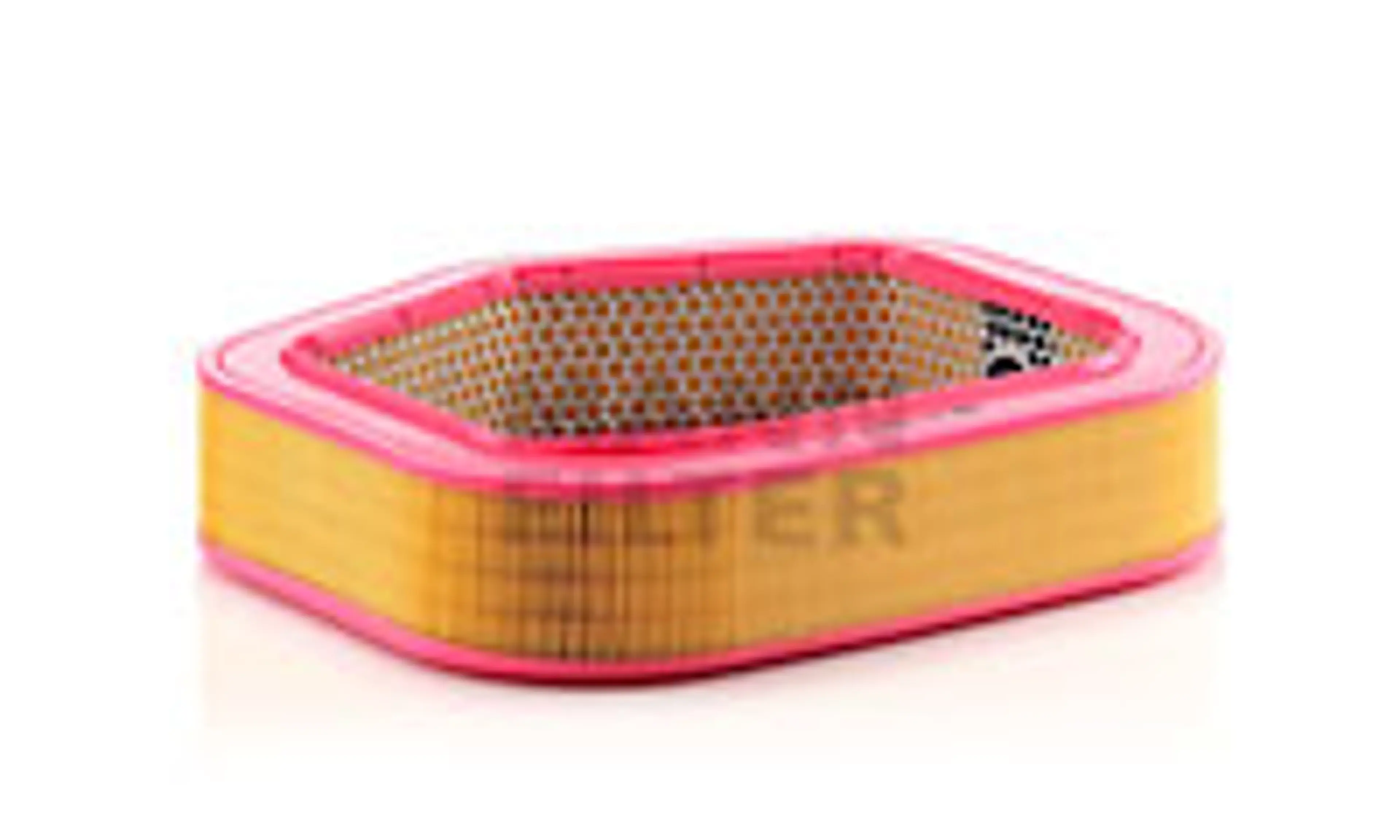 * FILTRO AIRE CARS + TRANSPORTERS