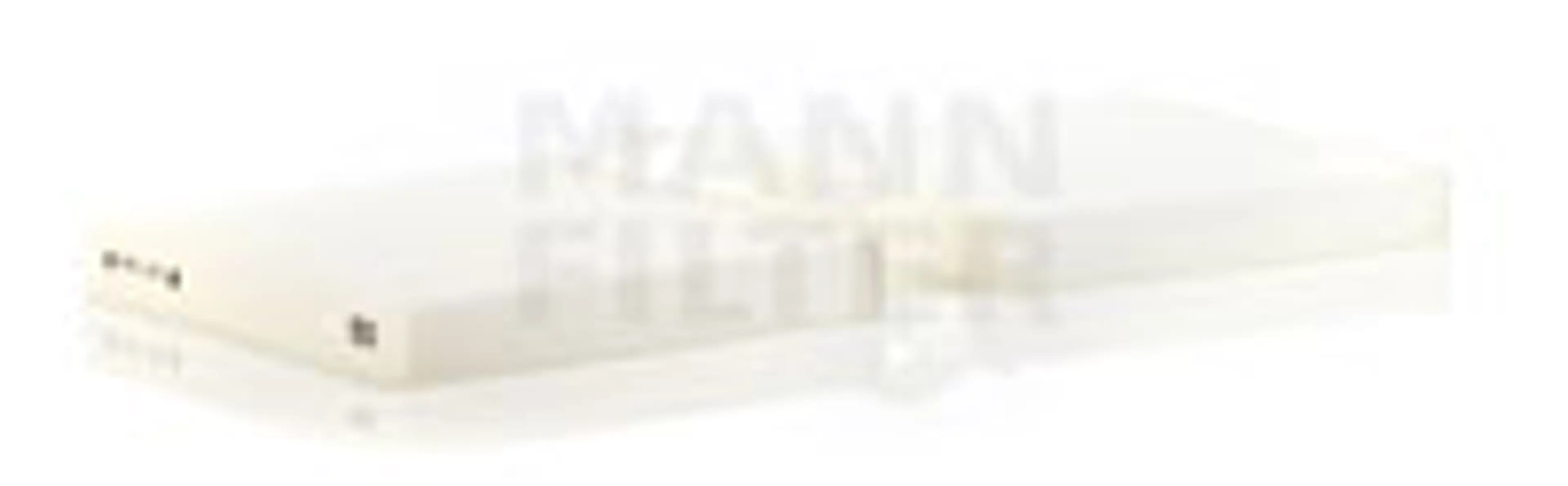 SIN * TURISMO HABIT-CULO BMW