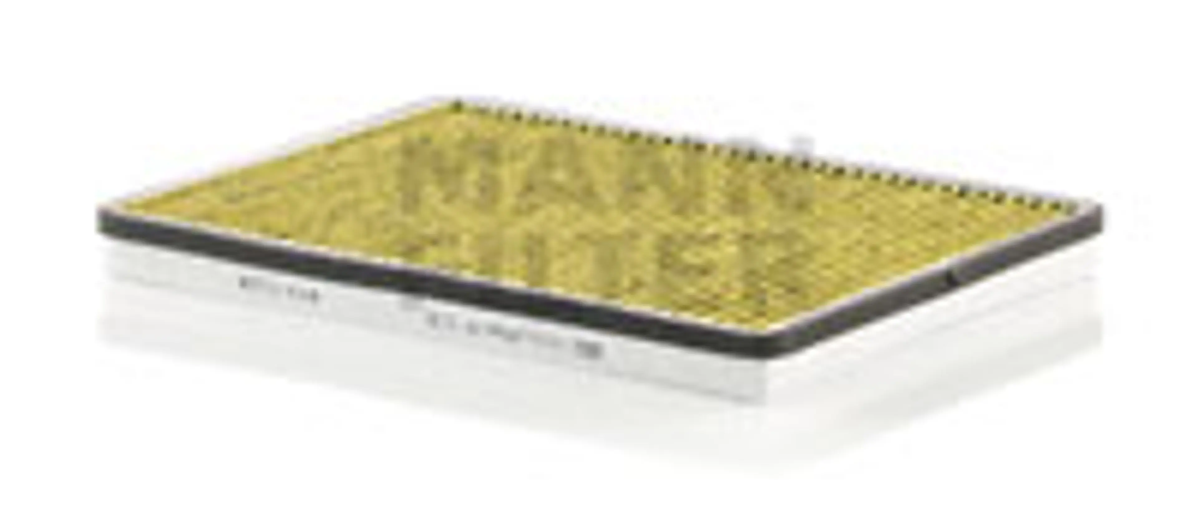 * FILTRO FRECIOUSPLUS TRUCKS + BUSE