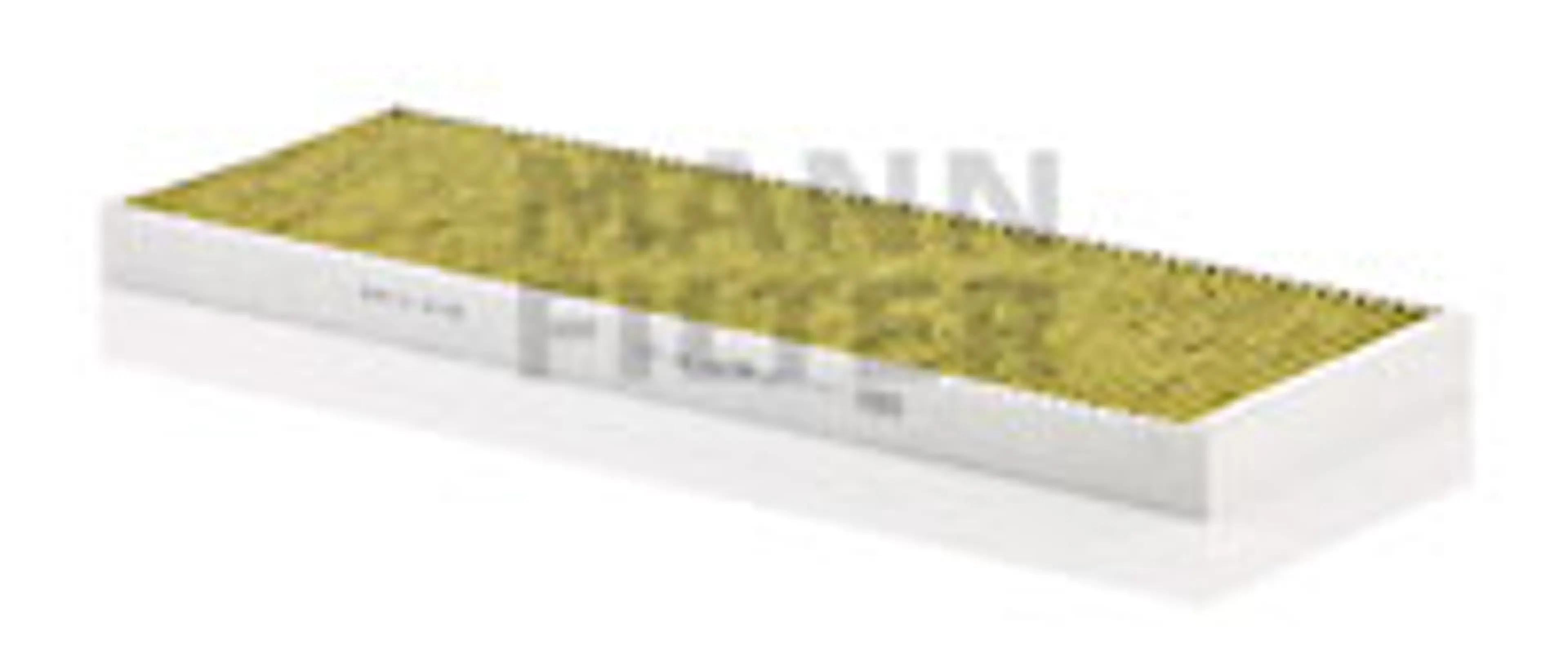 * FILTRO FRECIOUSPLUS TRUCKS + BUSE