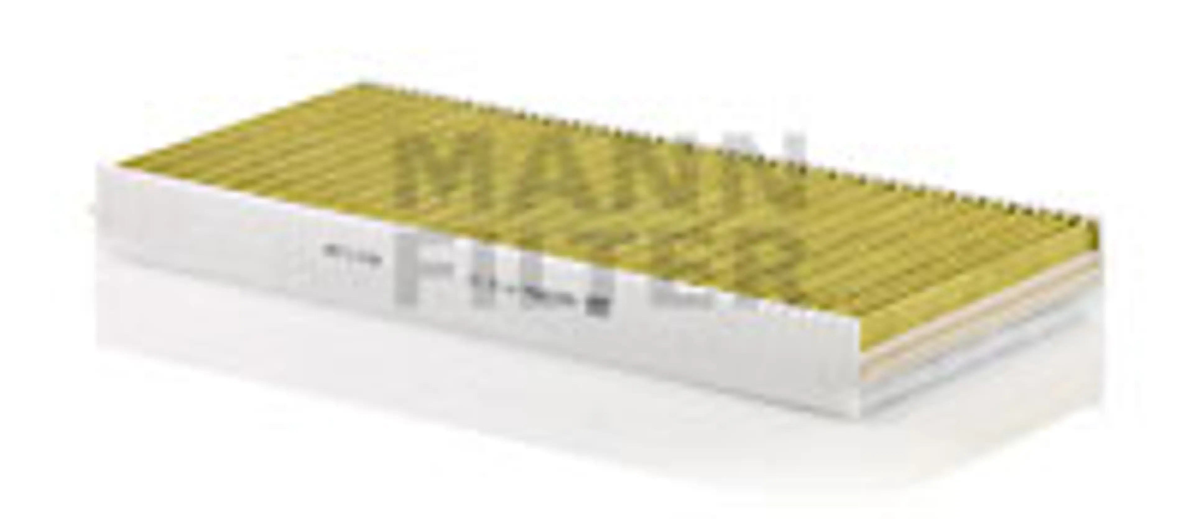 * FILTRO FRECIOUSPLUS TRUCKS + BUSE